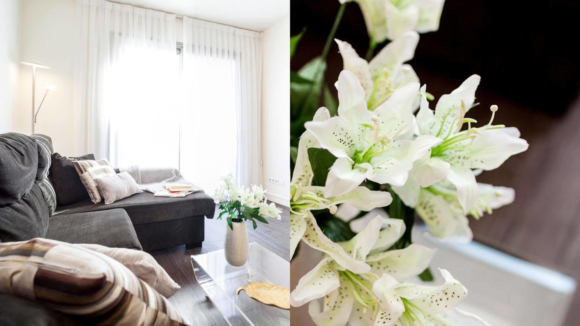 Aspasios Catedral Apartment
